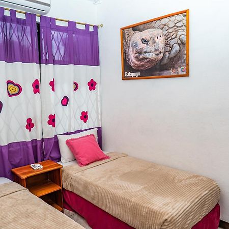 Tintorera Guest House プエルトアヨラ エクステリア 写真